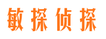 淮南侦探公司